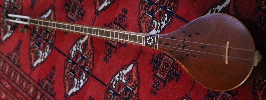 Dan Rein's Setar